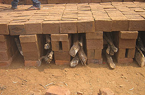 Brick Site Visit